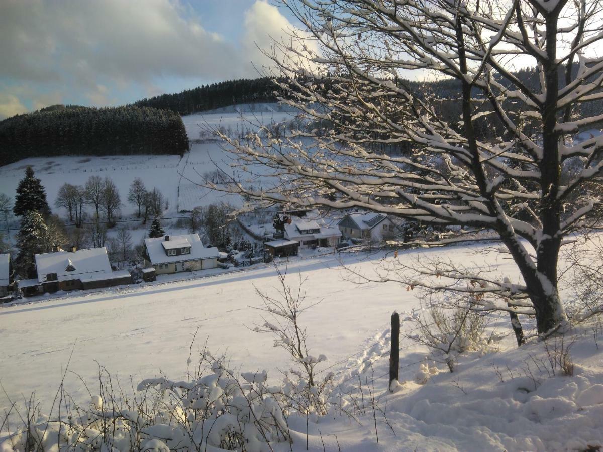 Apartamento Haus Stammecke Winterberg Exterior foto